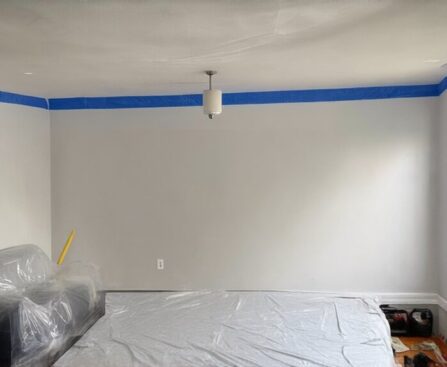 protective measures for ceilings