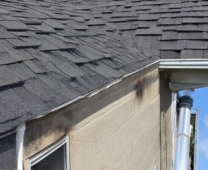 roof issues detection tips
