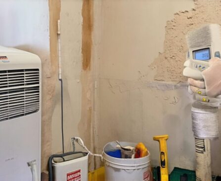 treating damp before decorating