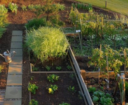 year round gardening strategy